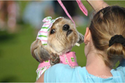 Dubai Pet Show
