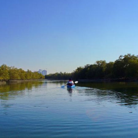 Mangrove National Park