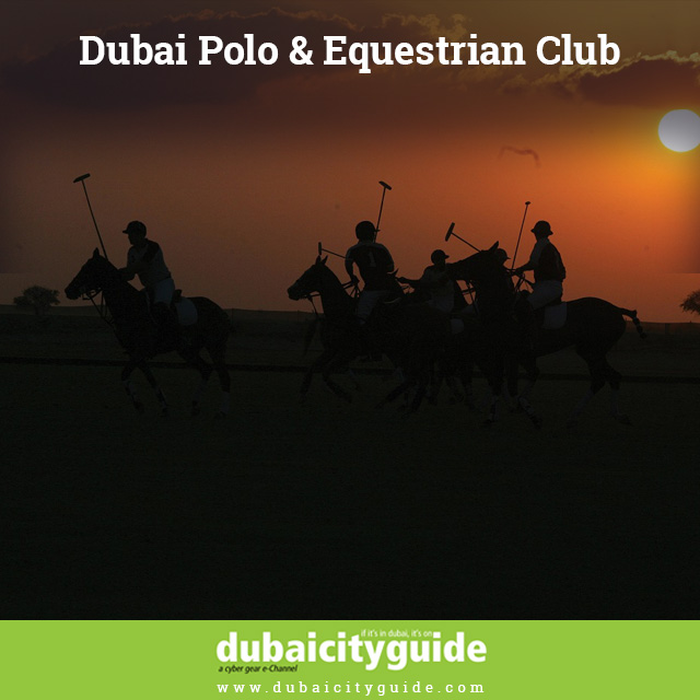 Polo Club Dubai 