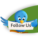 follow us on twitter