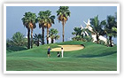 Dubai golf courses