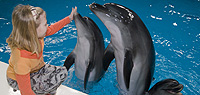 Dubai Dolphinarium