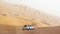 Desert Scene