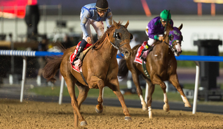 Prince Bishop Wins Dubai World Cup