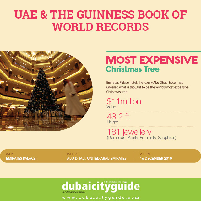 UAE and Guinness World Records  7