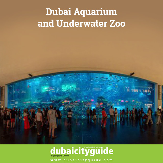 Dubai Aquarium and Underwater Zoo