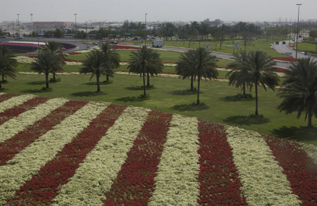Flowers in Full Bloom in Dubaih