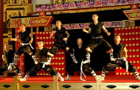 Chinese Martial Arts Performerh